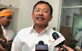 Polemik 74 WNI di Kapal Diamond Princess, Menkes: Mereka Mau Pulang Gak?