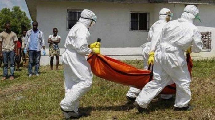 Virus Baru Muncul di Afrika, Cuma 48 Jam Nyawa Bisa Melayang
