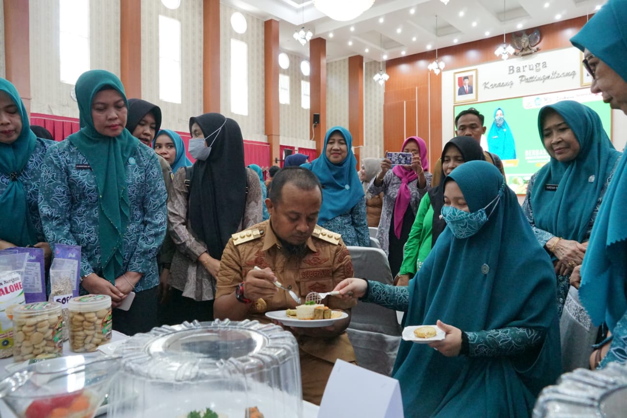 Gubernur Sulsel Puji Inovasi TP PKK Bulukumba