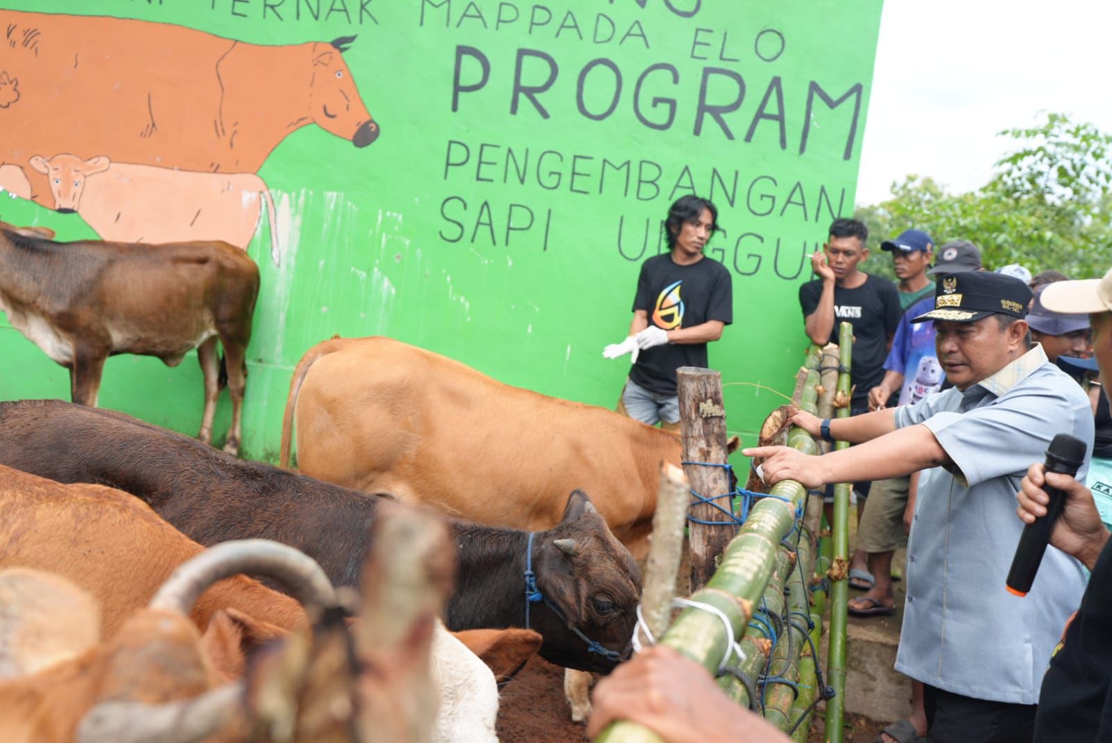Peternak Sapi Bulukumba Antusias Terhadap Program Inseminasi Buatan